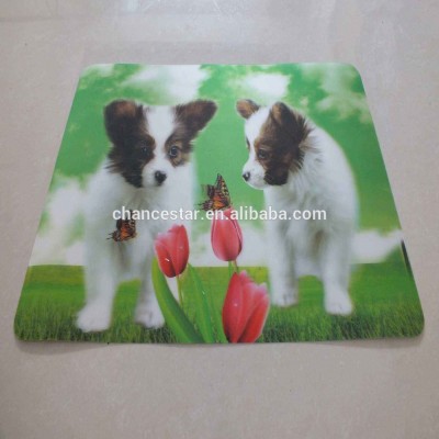 Custom 3d PP/PET clear plastic kids dining table placemats