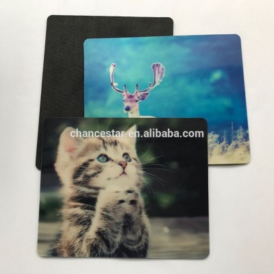 custom logo printed 3d lenticular picture plastic mouse pad